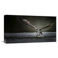 thumbnail image 1 of Global Gallery Phillip Chang 'Deadly Catch' Canvas Wall Art, 1 of 4