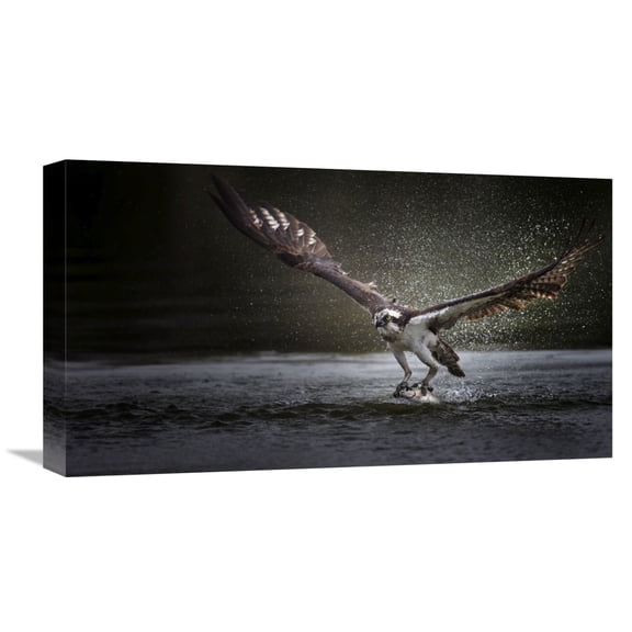 Global Gallery Phillip Chang 'Deadly Catch' Canvas Wall Art