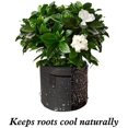 thumbnail image 3 of 3-pack Grow Bags Fabric Smart Pots For Plants With Handles Bundle 3 gallon, 3 of 5
