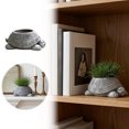 thumbnail image 1 of ZZHZGZ Canada Sale Tortoise Shaped Golden Tone Container for Succulents Small Indoor Desktop Daily Use, 1 of 5