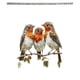 thumbnail image 2 of Pájaros decorativos acrílicos para colgar en la pared | Estilo de vidrio manchado | Diseño de tres pájaros en ramas exteriores | Decoración de arte ligera inspirada en la naturaleza | Acento para el, 2 of 6