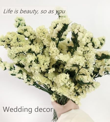 Dried Flowers Sea Lavender Forget-me-not Bouquet, 22 Inch Natural Statice Preserved Flower, Myosotis Sylvatica Flower for Arrangements, Home Decor, Wedding, Party (Yellow)