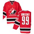 thumbnail image 2 of Wayne Gretzky Signed Team Canada Authentic Nike Olympic Jersey JSA COA, 2 of 11