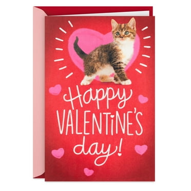 Hallmark Funny Pop-up Valentine's Day Greeting Card (Love Mew Cute Cats)