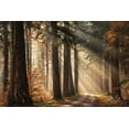 thumbnail image 2 of Podt, Martin 14x11 White Modern Wood Framed Museum Art Print Titled - Fresh Autumn Light, 2 of 4