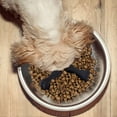 thumbnail image 4 of 3Pcs Silicone Slow Feeder Insert for Dog Bowls- Bone Design Slow Feeder Dog Bowl Insert to Slow Down Eating- Easy to Clean Slow Feeder Dog Bowls Accessories with Suction Cup for Dog Bowl, 4 of 9