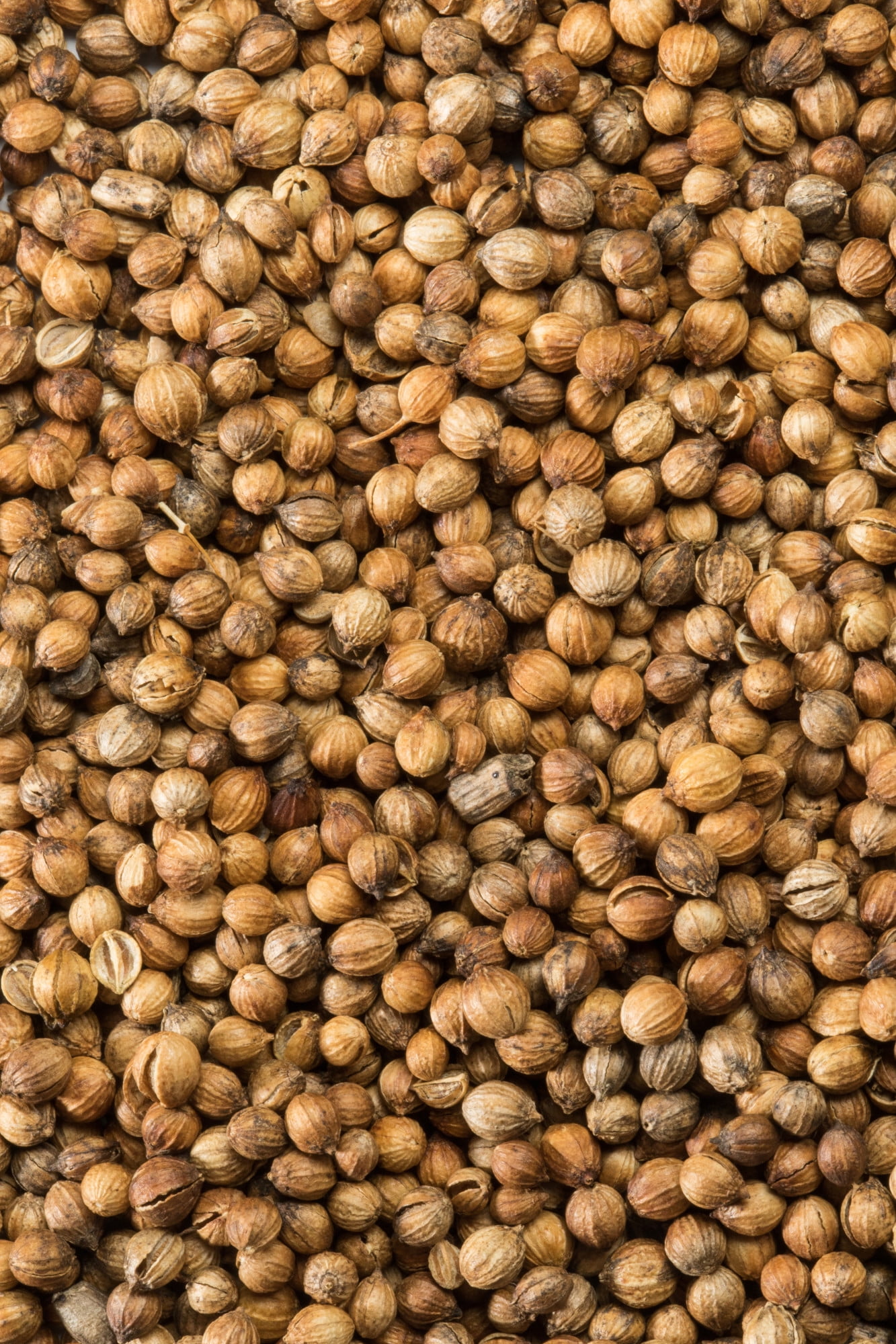 McCormick Gourmet Organic Coriander Seed, 0.87 oz Mixed Spices & Seasonings - image 4 of 11