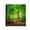 J, variant on Shower Curtain,All Season Theme Picture of a Forest Tree Leaves on an Abstract Woodland Background Print,Essential Accessories for Farm House Bathroom Decoration Cloth Fabric Bath,59x70 Inches