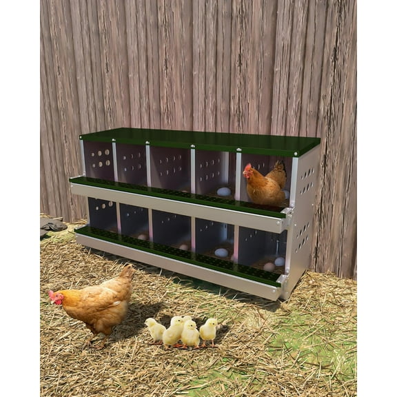 10-Hole Metal Chicken Nesting Box w/Roll-Away Eggs, Galvanized Steel, Perch Rod & Training Eggs, Predator-Proof Laying Box for Hens