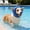 Blue-S, variant on Pet Swim Ear Cover Bath And Noise Shield For Water Activities(L)
