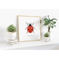 thumbnail image 3 of Vintage Ladybug Insect Poster Two Spotted Lady Beetle Natural History Aesthetic Wall Decor for Home Office 12x18 UNFRAMED, 3 of 3