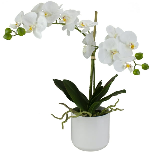 18.25" White Blossom Artificial Potted Orchid Plant