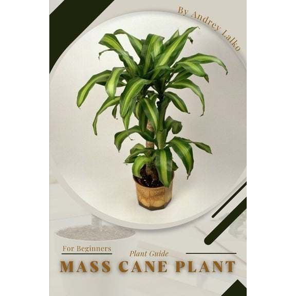 Mass Cane Plant : Plant Guide (Paperback)