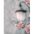 thumbnail image 2 of Liu, Betty 15x18 White Modern Wood Framed Museum Art Print Titled - Cherry Blossom Under Street Lamp, 2 of 4