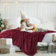 thumbnail image 3 of PiccoCasa Luxury Fleece Bed Blanket Woven Mesh Burgundy 66"x90", 3 of 8