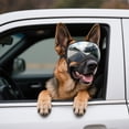 thumbnail image 2 of Gafas para Perro NAMSAN para Perros Grandes, Gafas de Sol Anti-UV Plateadas, 2 of 6