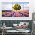 thumbnail image 1 of Lonely Green Tree in Lavender Field - Extra Large Landscape Canvas Art, 1 of 3