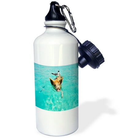 

3dRose Print of Swimming Pig In Staniel Cay Bahamas - Water Bottle 21-ounce