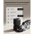 thumbnail image 2 of Comedero automático para gatos PETLIBRO hasta 50 porciones y 6 comidas, 2 of 7