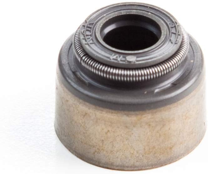 Briggs & Stratton Genuine 820041 SEALVALVE Replacement Part Lawnmower