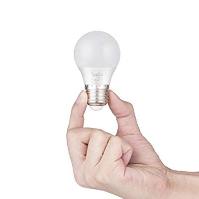 Tento Lighting Warm White 3000k 12v Edison Bulbs E26 100w Equivalent Bright 1200 Lumens 12 Volt E27 Base Edison Base Marine RV Light Bulbs Off-Grid Lighting Solar Powered LED 12 Volt Bulbs 