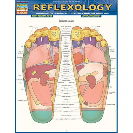 Photo 1 of Barcharts 9781423228615 Reflexology Quickstudy Easel