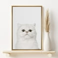 thumbnail image 2 of PixonSign Framed Canvas Print Wall Art White Cat Portrait on Gray Background Animals Wildlife Photography Minimalism Modern Closeup Whimsical Cool for Living Room, Bedroom, Office - 16"x24" Natural, 2 of 5