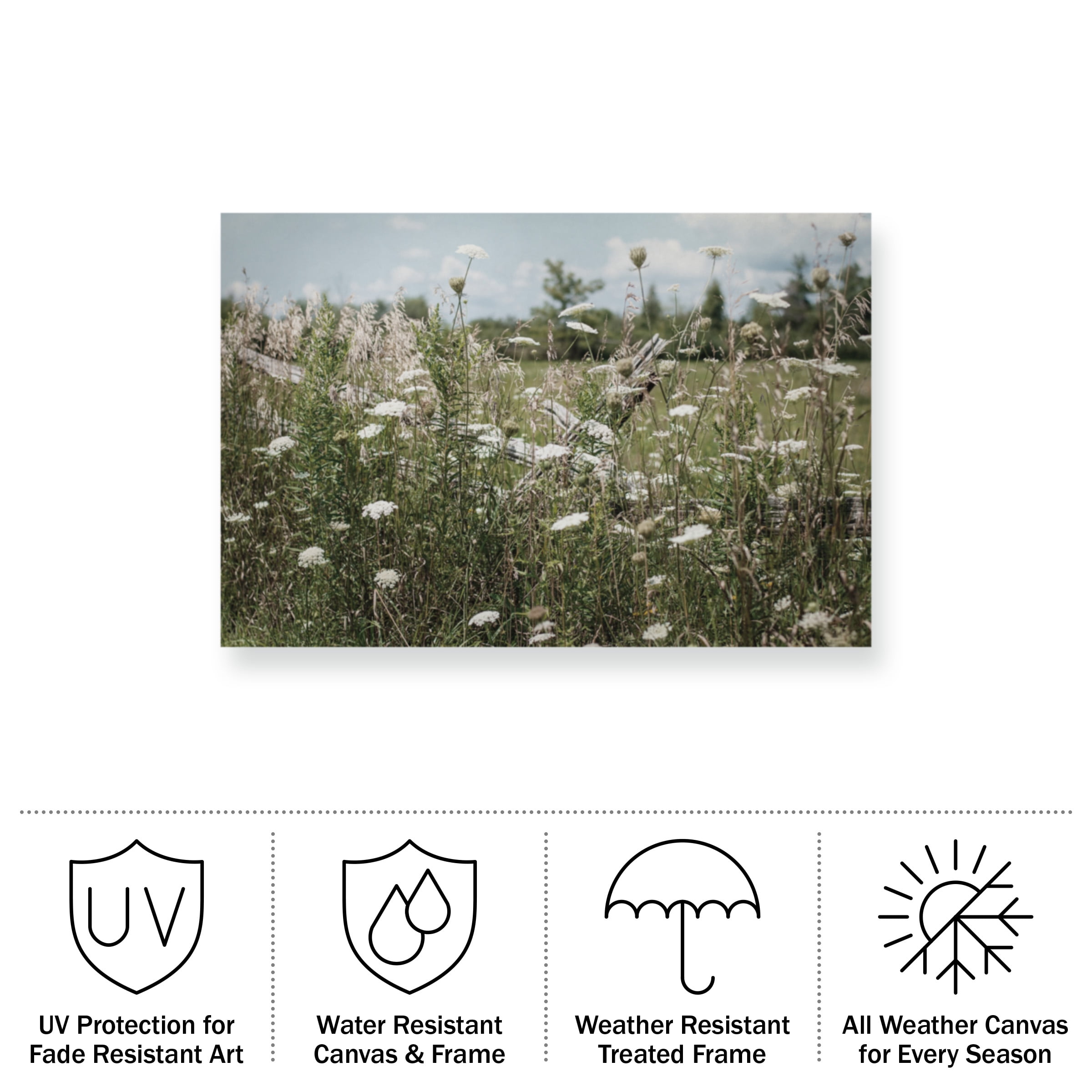 Elizabeth Urquhart 'Sun Drenched III' Outdoor Canvas