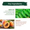 thumbnail image 4 of Himalaya Purifying Neem Scrub for a Deep Clean, Exfoliate and Purifies for Clean and Radiant Skin, 5.07 oz, 4 of 7