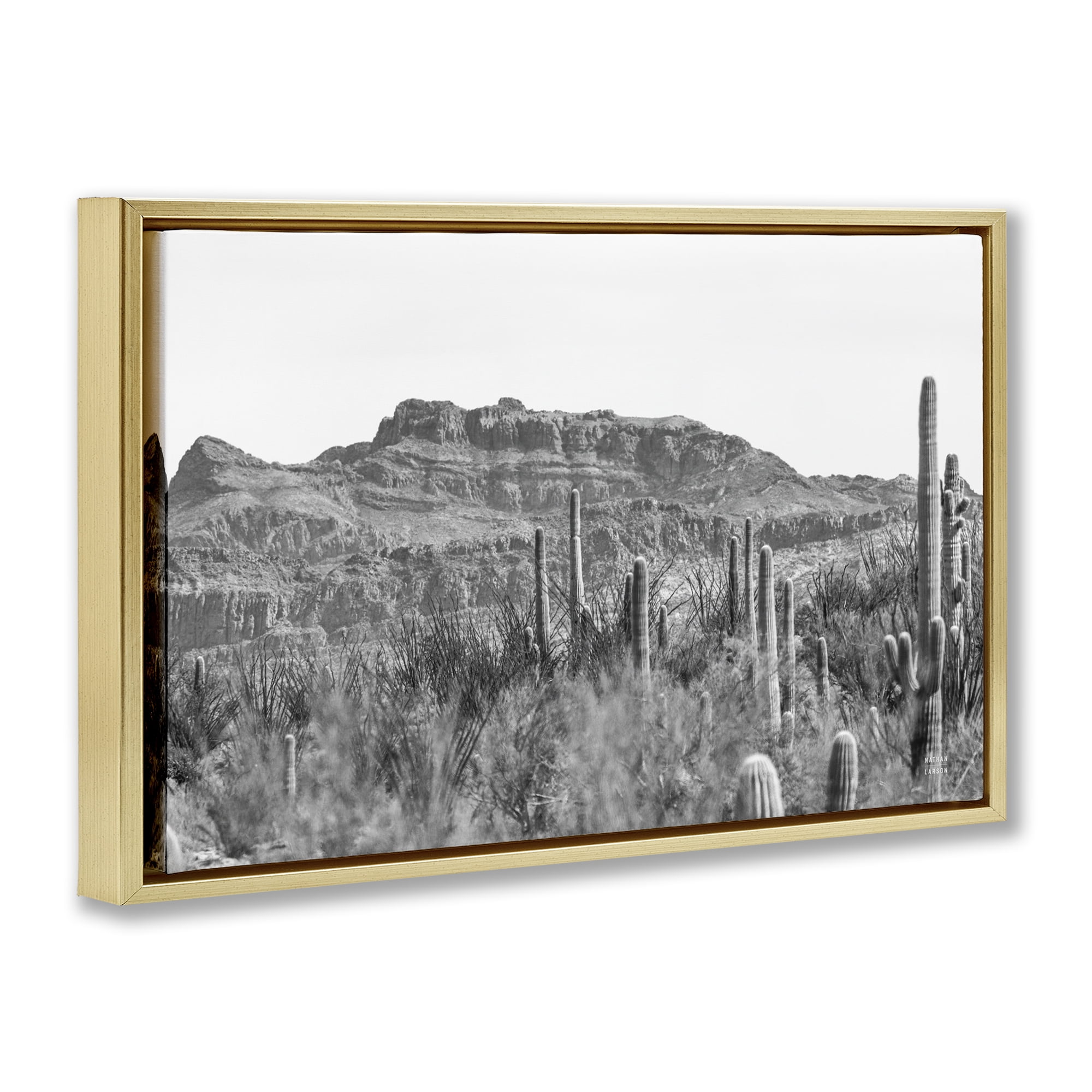 Stupell Industries American Borderlands Desertscape Landscape & Nature Photography Gold Floater Framed Canvas Art Print Wall Art, 31 x 21