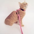 thumbnail image 5 of Sipeihong cat harness Pet Cat Harness Traction Rope Cat Nylon Collar Leash Pet Kitten Supplies Accessories (Pink), 5 of 7