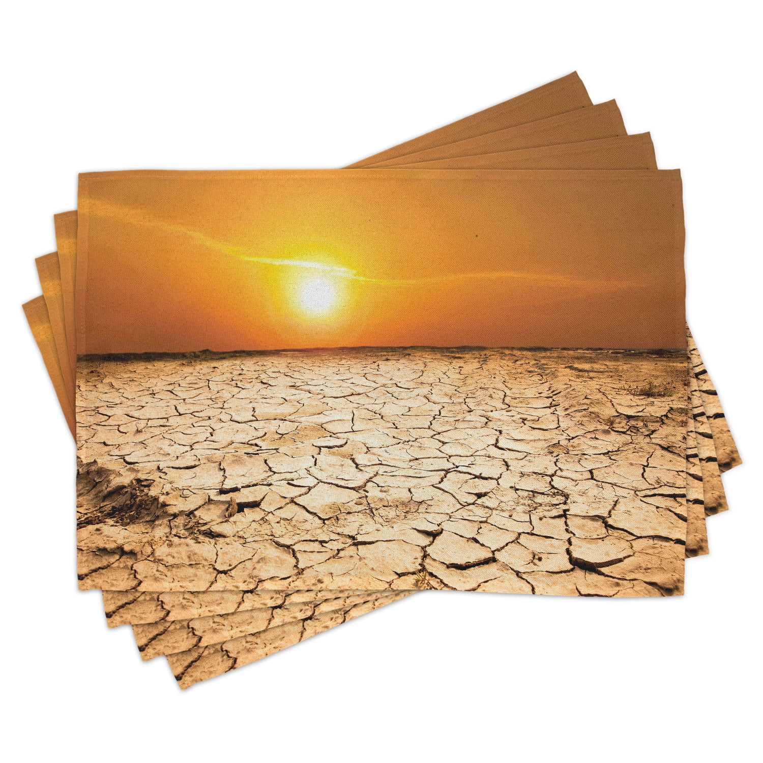 Desert Placemats Set of 4 Drought Land and Hot Weather Climate Theme