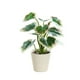 thumbnail image 2 of Artificial Potted Plants Realistic Simulation Green Plants Indoor Home Desk Bookshelf Decor Faux Greenery Decorative Houseplants for Living Room Office, 2 of 6