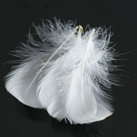 50pcs White Feathers 4 8cm Goose Feather Plumes For Costum Cloth