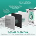 thumbnail image 5 of 2 Pack Vital 100 Air Purifier Replacement Filter Compatible with LEVOIT Air Purifier Vital 100 Air Filter True H13 HEPA 3-in-1 High-Efficiency Filtra, 5 of 5