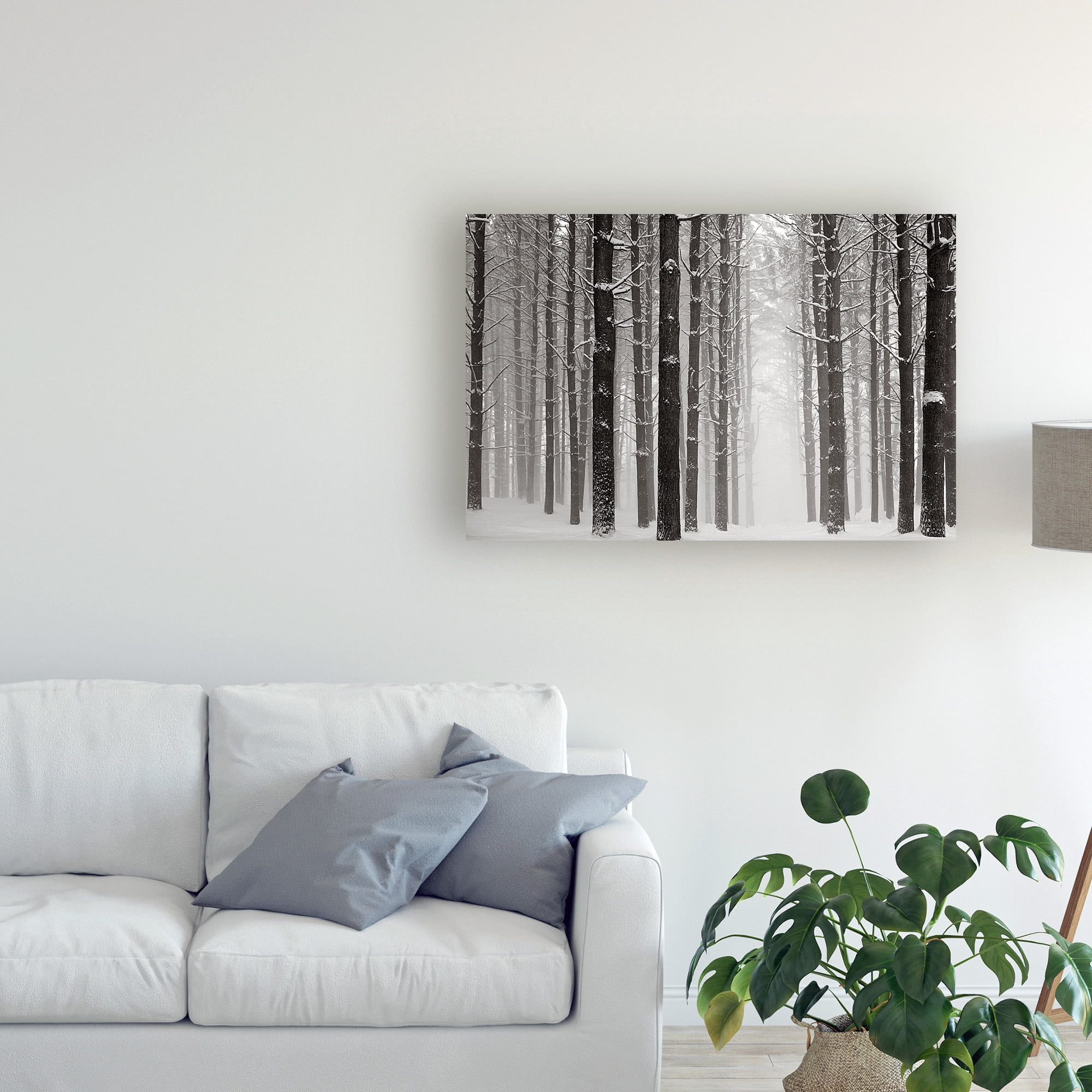 Trademark Fine Art 'A Snowy Walk V' Canvas Art by James McLoughlin