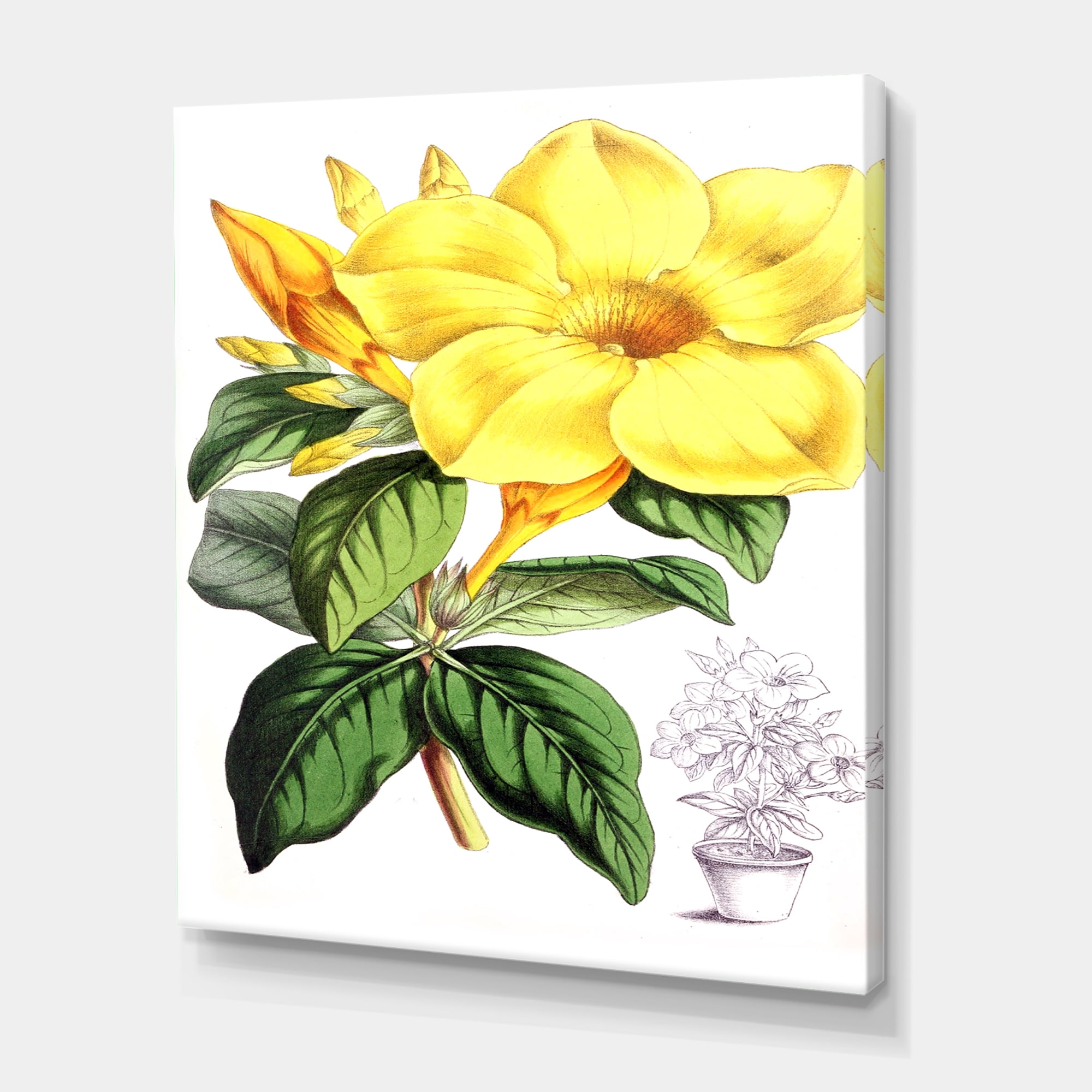 Designart ' Green Leaves With Tropical Yellow Flowers II ' Traditional Canvas Wall Art Print