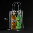 Agne Drink Wine Beer Ice Bag Pvc Bottle Cooler Chiller for Picnics