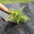 thumbnail image 1 of YAOMOBB Landscaping Fabric Weeding Barrier Landscape Fabric Tear Resistant for Garden Control, 1 of 5