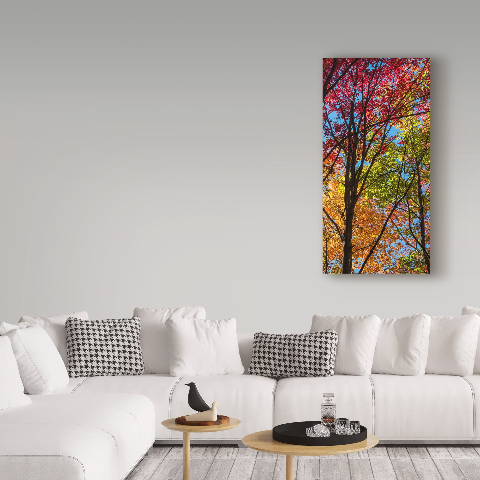 Trademark Fine Art 'Color Blend' Canvas Art by Brenda Petrella Photography Llc