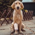 thumbnail image 3 of Manchons Protecteurs de Jambes pour Chiens et Chats Réutilisables Respirants pour Activités Intérieures et Extérieures, 3 of 5