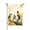 Style 2, variant on Cinco De Mayo Garden Flag 12x18 Inch Double Sided – Festive Mexican Fiesta Outdoor Yard Decoration, Lawn & Patio Welcome Decor