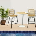 thumbnail image 3 of Costway Silla de Bar, Juego de Taburetes de 2 Piezas con Respaldo de Ratán & Reposapiés, Silla Alta Ergonómica con Marco de Hierro & Almohadillas Antideslizantes, para Comedor, Patio, Balcón, 3 of 4