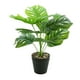 thumbnail image 5 of Planta de tortuga ecológica artificial Toystoory ABS bajo mantenimiento JH5477 2Conjunto, 5 of 6