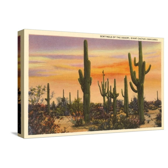 Art.com Saguaro Cacti Stretched Canvas Print Wall Art, 18" x 12"