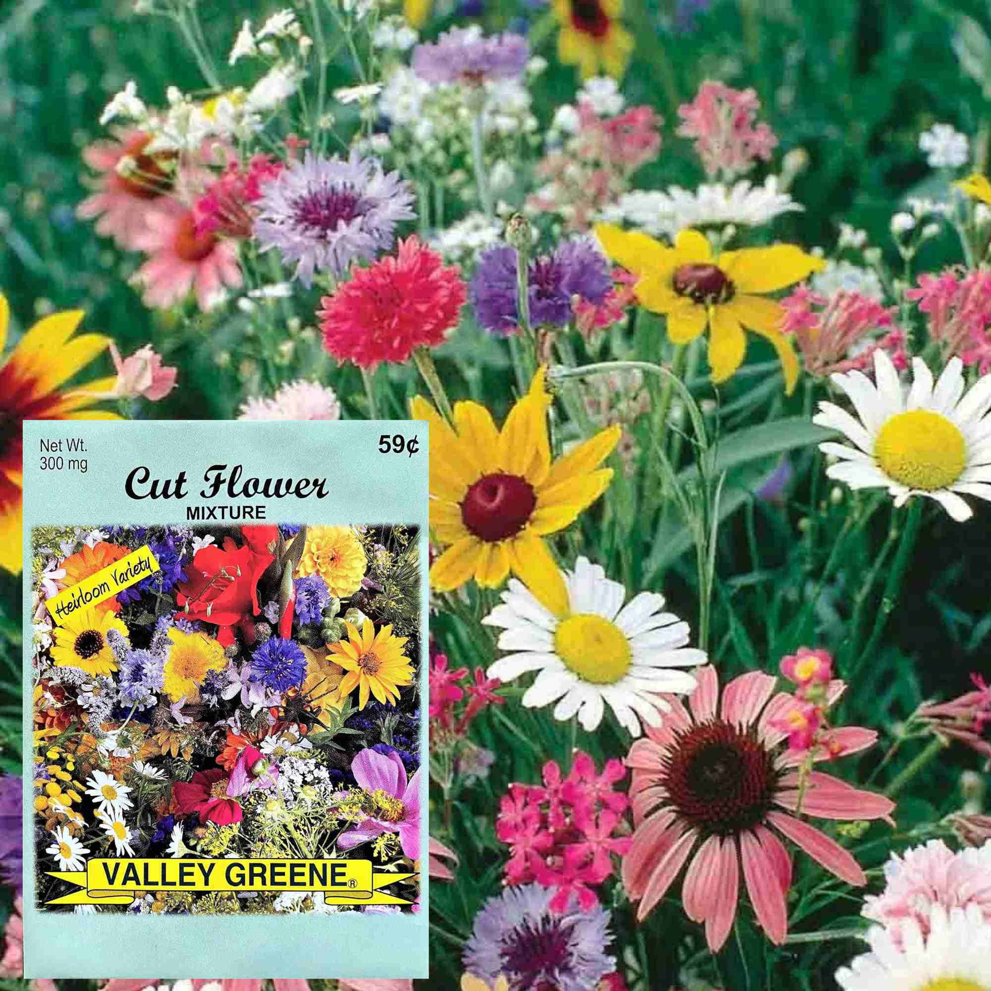 Valley Greene 300mg Cut Flower Seed Mixture Seeds:2CT - Walmart.com