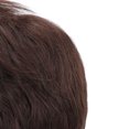 thumbnail image 4 of YAHHU Men Wig High Temperature Fiber Artificial Hair for Middle Aged and Elderly People Daily Party Cosplay (9.84 inches / 25.0 cm), 4 of 9