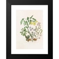 thumbnail image 2 of Agnes Fitzgibbon 14x18 Black Modern Framed Museum Art Print Titled - Sharp Lobed Hepatica, Large Flowered Bellwort, Wood Anemon, Spring Beauty (1868), 2 of 5
