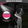 thumbnail image 4 of Collar para perros Joytale acolchado de neopreno ajustable para perros medianos, 4 of 4