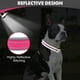 thumbnail image 4 of Collar para perros Joytale acolchado de neopreno ajustable para perros medianos, 4 of 4